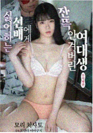 阿甘正传 免费电影大全
